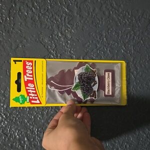 Car scent